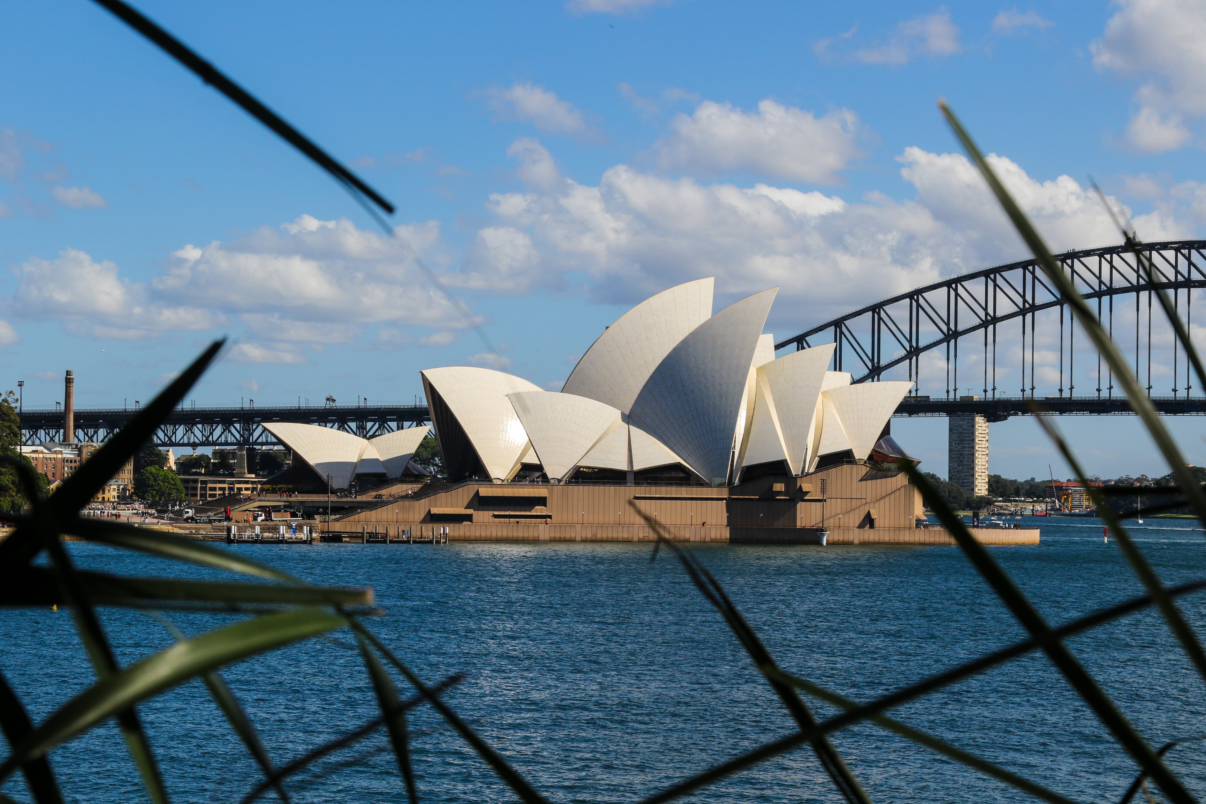 Sydney Opera House and Harbour Bridge in bright daylight